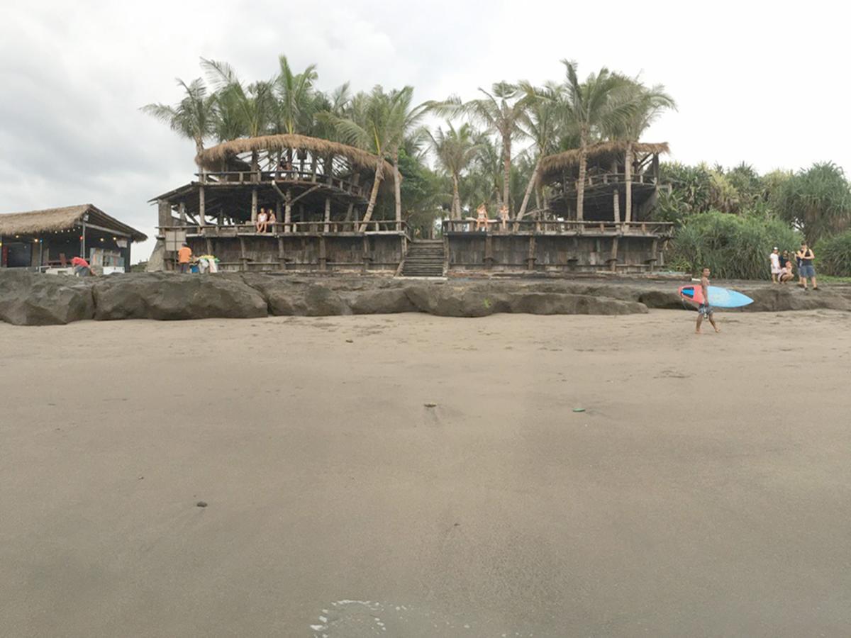 Exotica Bali Villa Canggu  Exterior photo